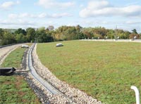 Eco Green Roofs Image